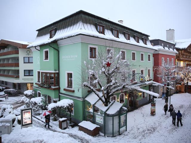 Hotel Grüner Baum