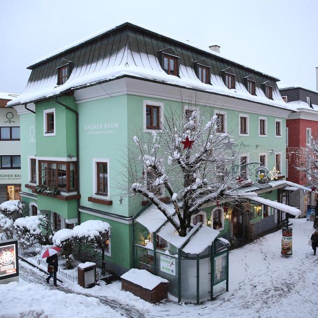 Hotel Grüner Baum